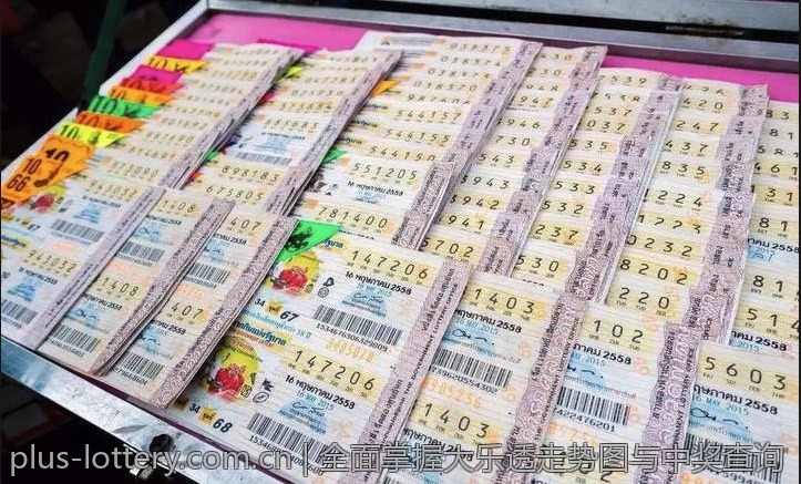 全面掌握大乐透走势图与中奖查询
